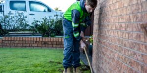 Termite Sydney Hotspots: Suburbs Most at Risk and Why