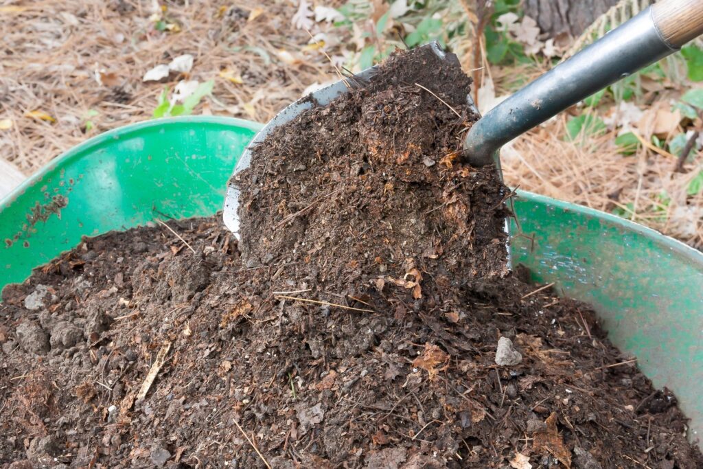 Wood Chip Mulch: What It Does, How Deep to Lay It, and the Myths Worth Ignoring

